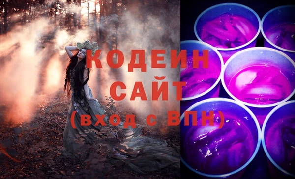 МДПВ Нея
