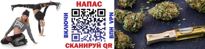 Бошки марихуана план Правдинск
